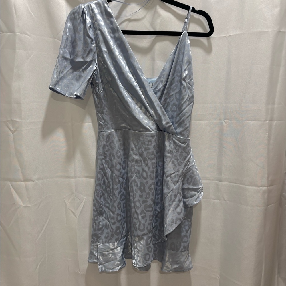 TCEC Asymmetrical Silver Leopard Dress